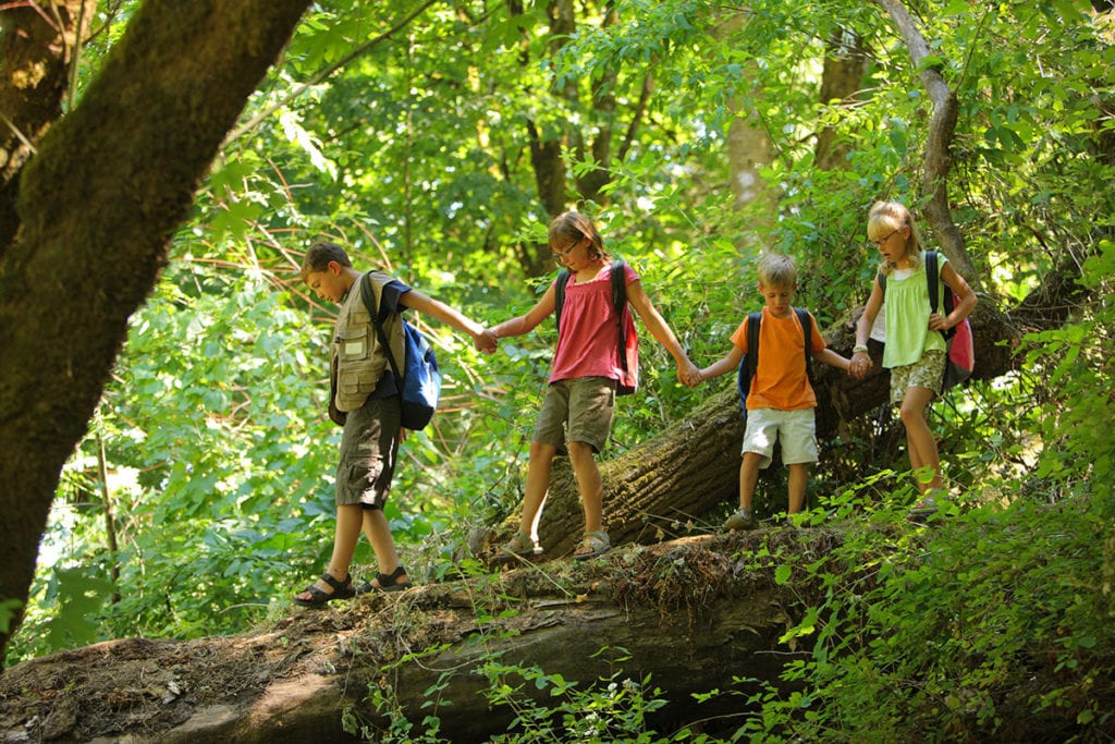 Familienwandern Filzmoos Alpenherz 2 Shutterstock