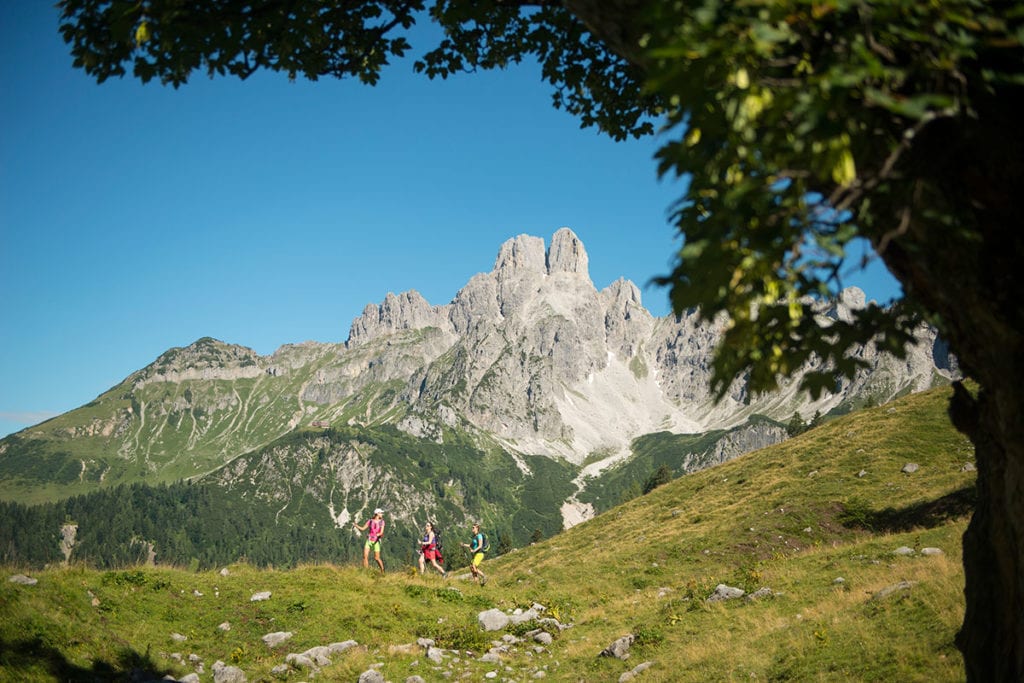 Wandern in Filzmoos Bischofsmuetze